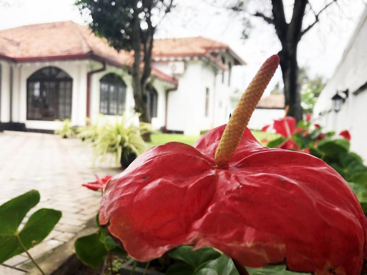 Grand Villa Negombo Exterior photo